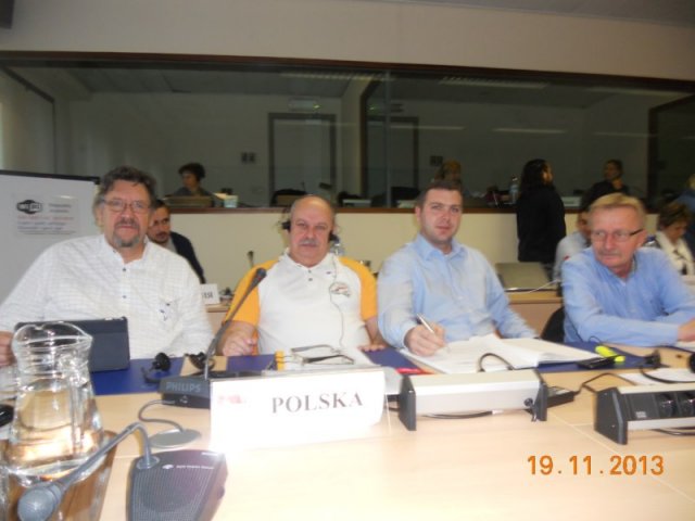 Bruksela, 19 listopad 2013 r.